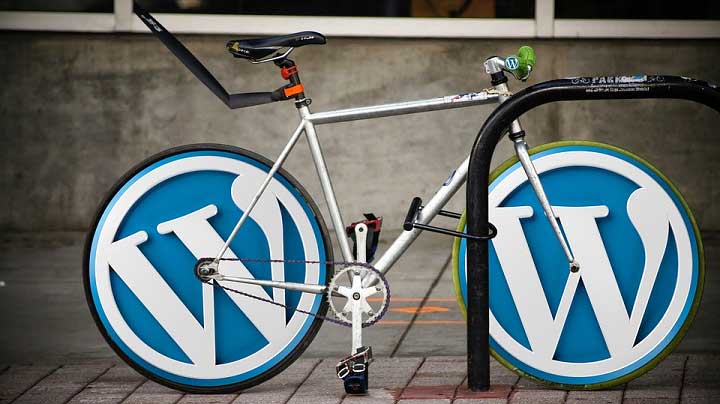 Avoid Spam User Registration in WordPress