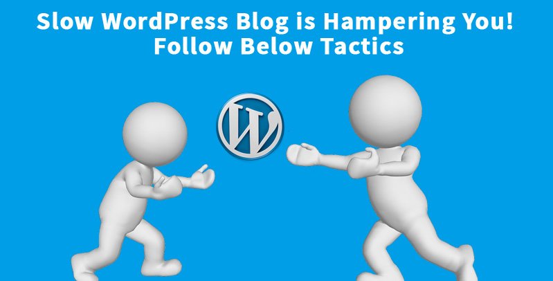 Slow WordPress Blog is Hampering You! Follow Below Tactics