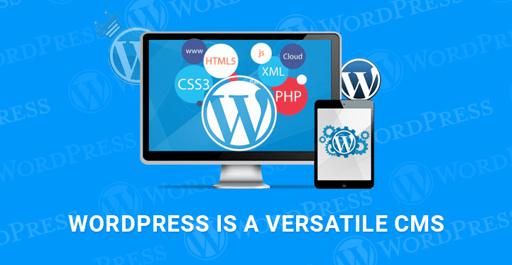 Why WordPress Is The Most Versatile CMS Out There